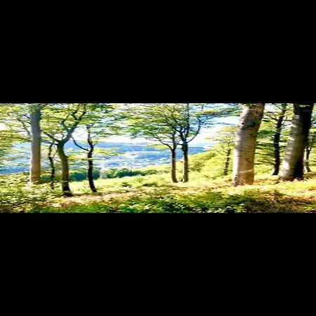 With Private Terrace In