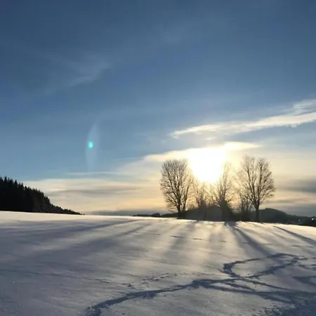 With Private Terrace In *