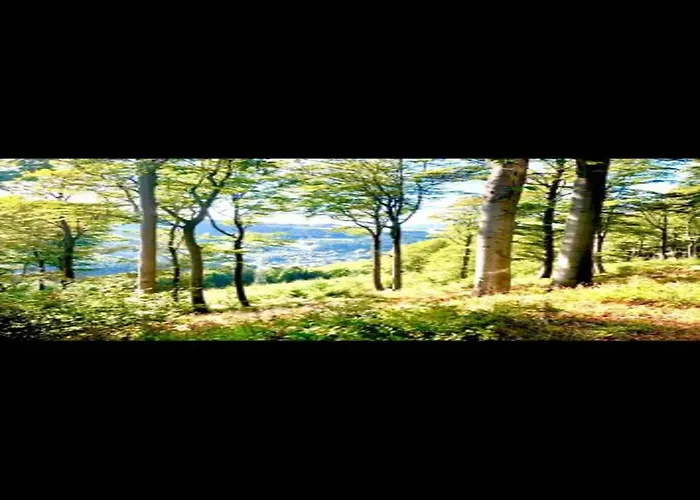 With Private Terrace In