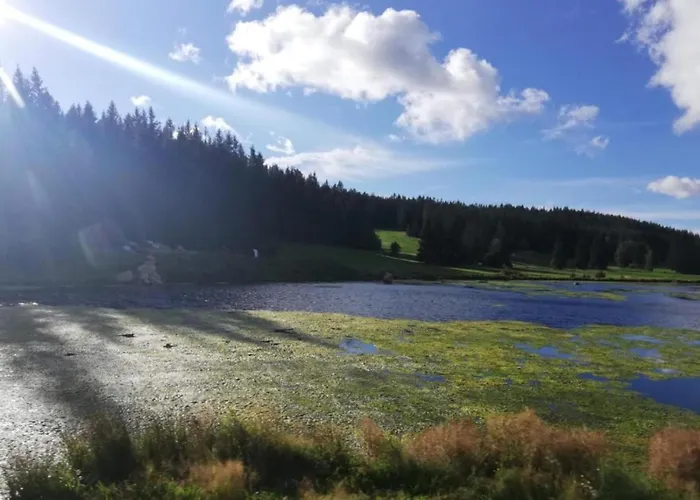 With Private Terrace In