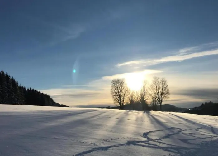 With Private Terrace In *